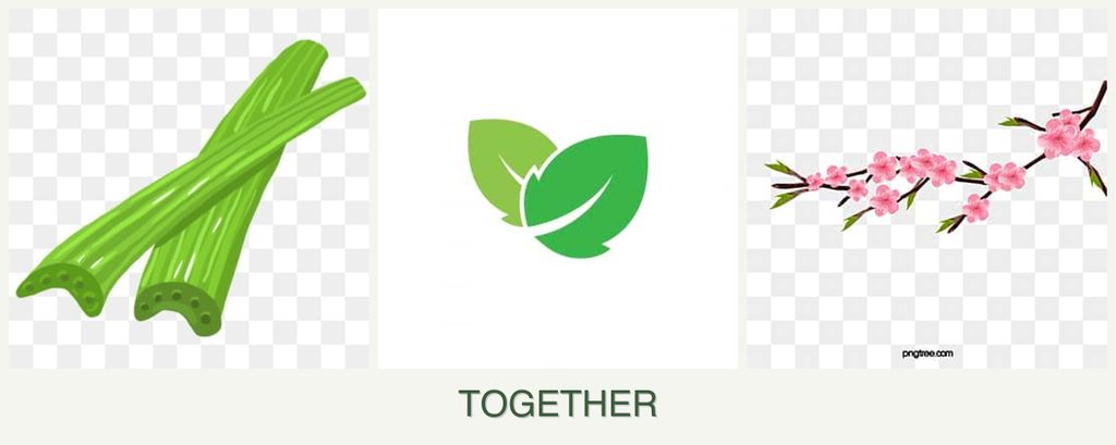 Can you plant celery, mint and peaches together?
