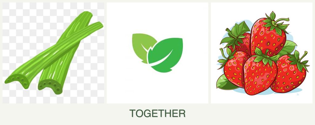 Can you plant celery, mint and strawberries together?