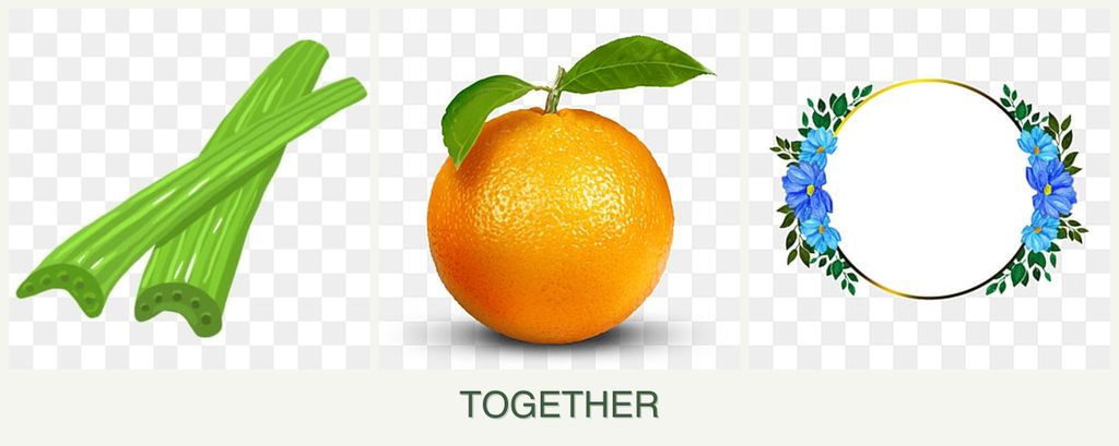 Can you plant celery, oranges and zinnias together?