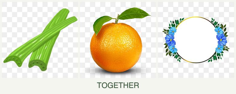 Can you plant celery, oranges and zinnias together?