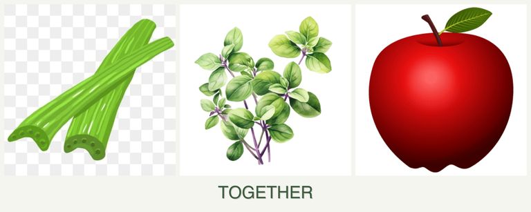 Can you plant celery, oregano and apples together?