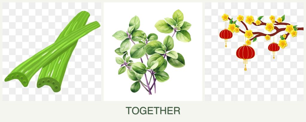 Can you plant celery, oregano and apricots together?
