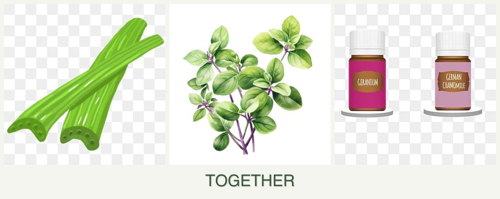 Can you plant celery, oregano and geraniums together?
