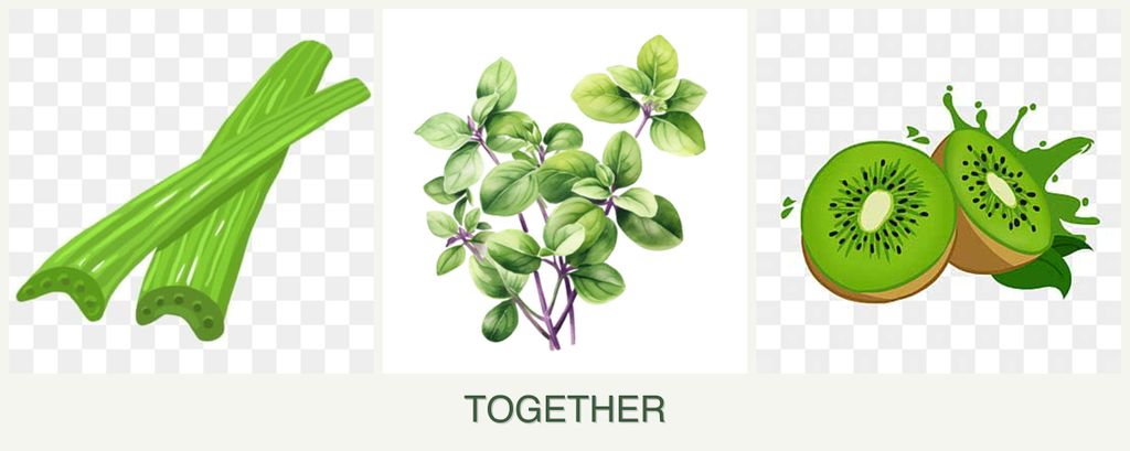 Can you plant celery, oregano and kiwi together?