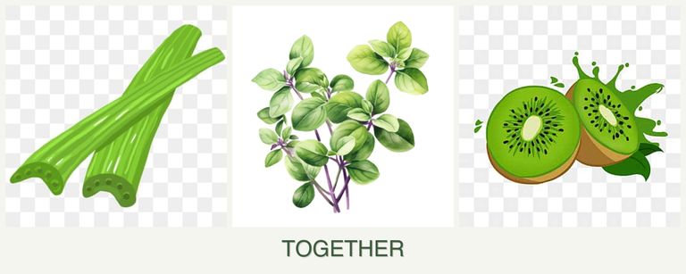 Can you plant celery, oregano and kiwi together?
