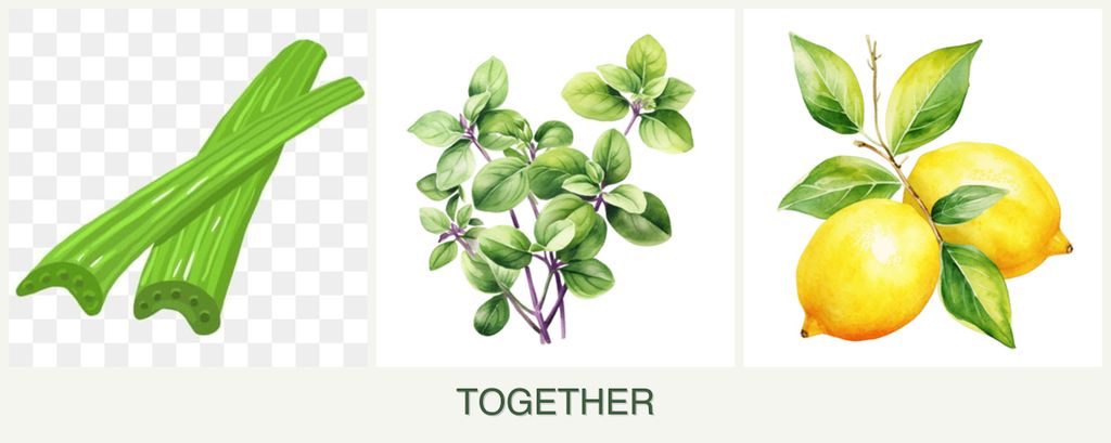 Can you plant celery, oregano and lemons together?