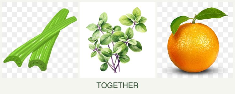 Can you plant celery, oregano and oranges together?