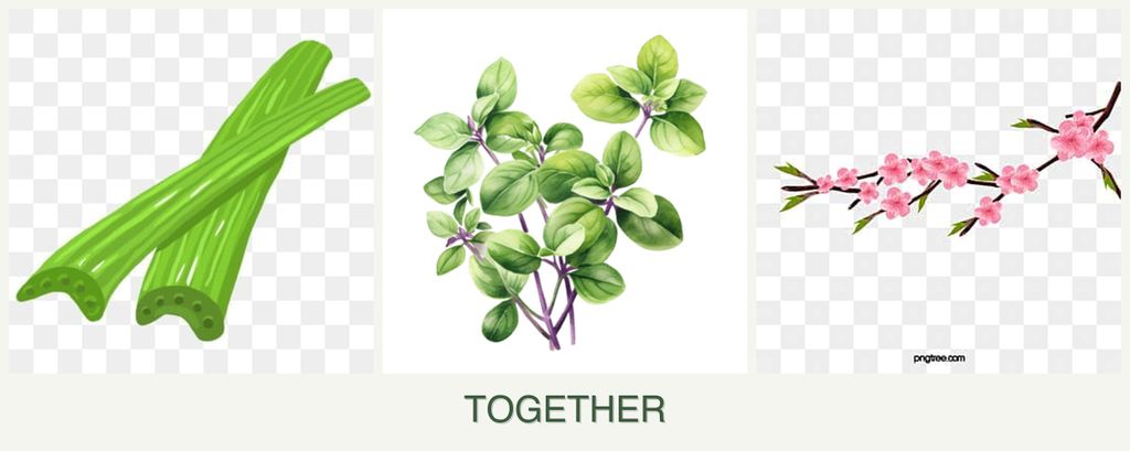 Can you plant celery, oregano and peaches together?