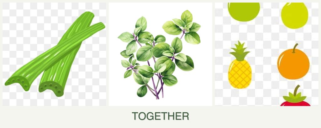 Can you plant celery, oregano and pears together?