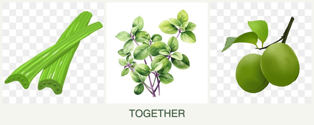 Can you plant celery, oregano and plums together?