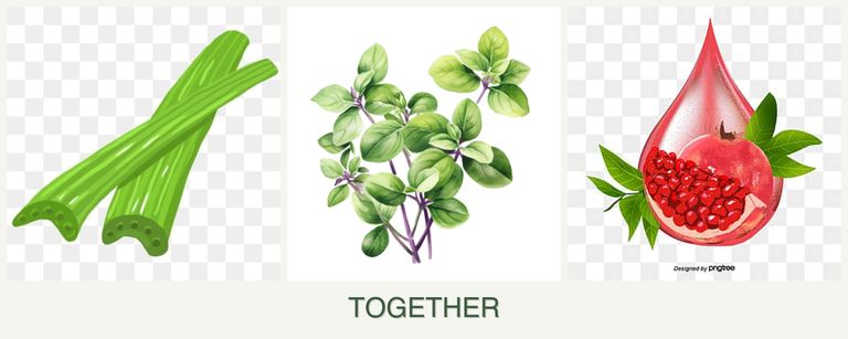 Can you plant celery, oregano and pomegranates together?