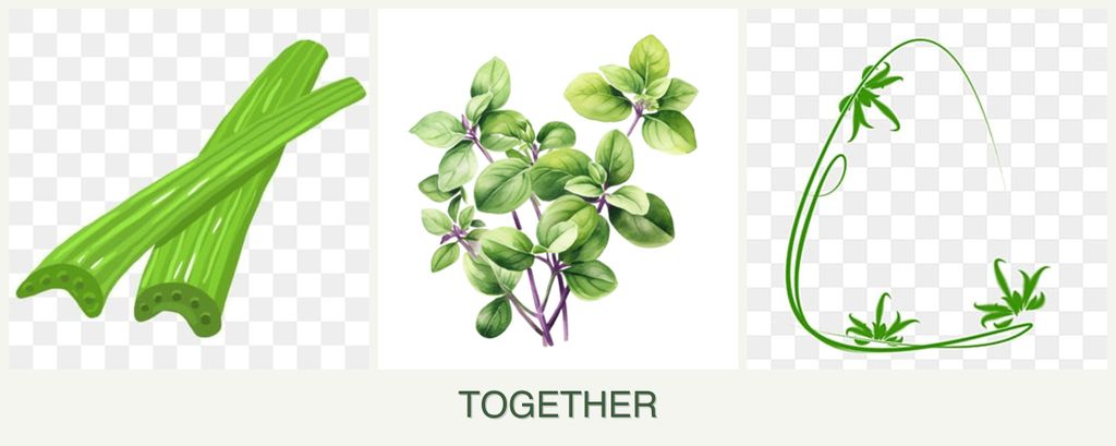 Can you plant celery, oregano and tarragon together?