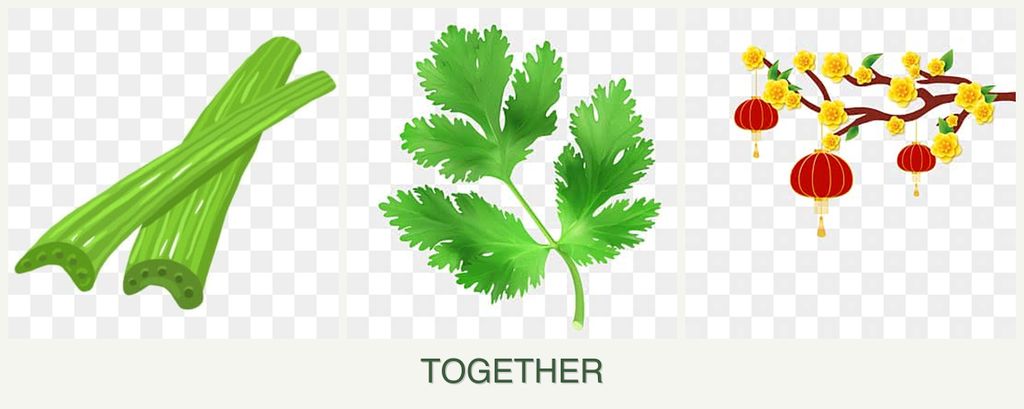 Can you plant celery, parsley and apricots together?