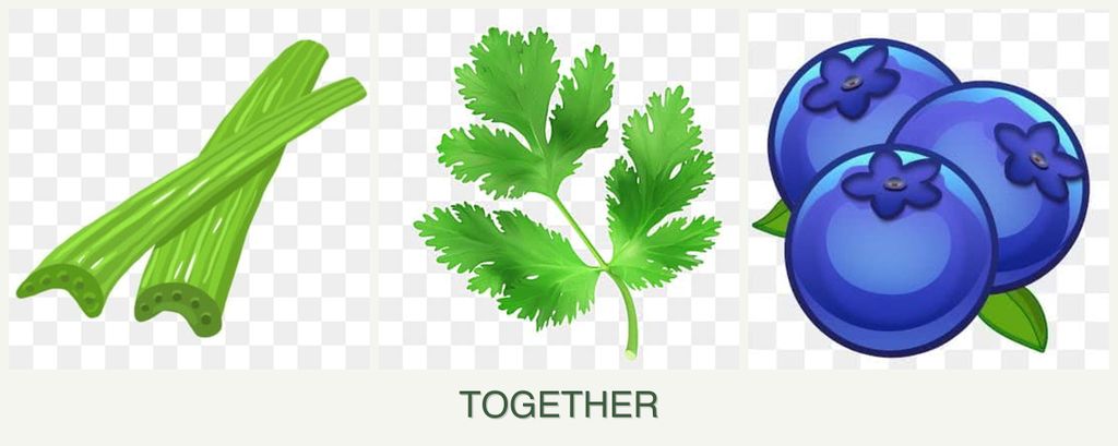 Can you plant celery, parsley and blueberries together?