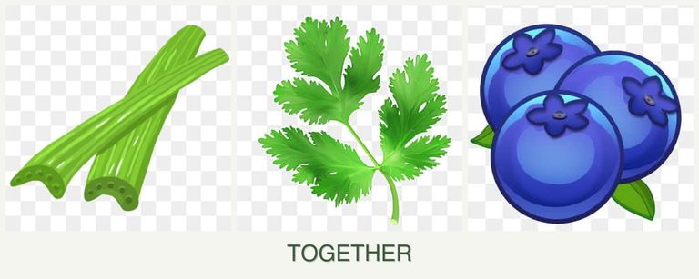 Can you plant celery, parsley and blueberries together?