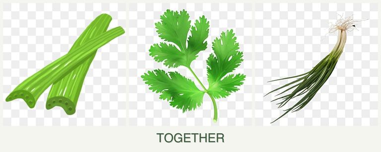 Can you plant celery, parsley and chives together?