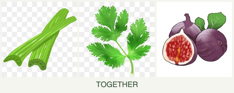 Can you plant celery, parsley and figs together?