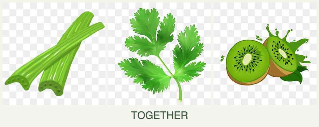 Can you plant celery, parsley and kiwi together?