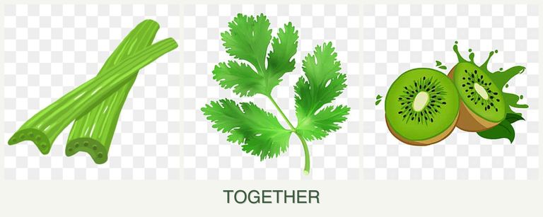 Can you plant celery, parsley and kiwi together?