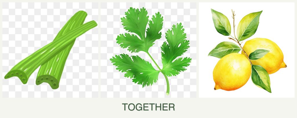 Can you plant celery, parsley and lemons together?