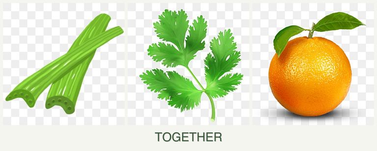 Can you plant celery, parsley and oranges together?