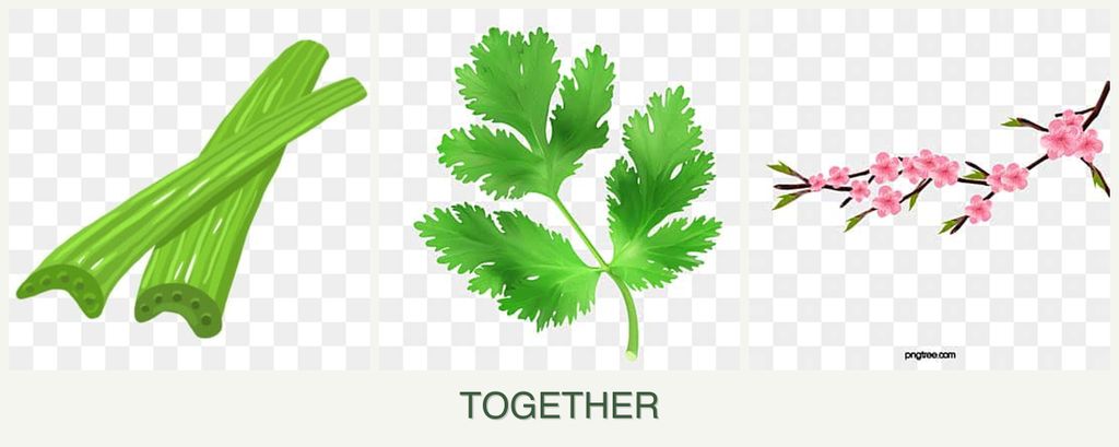 Can you plant celery, parsley and peaches together?