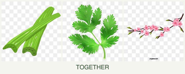 Can you plant celery, parsley and peaches together?