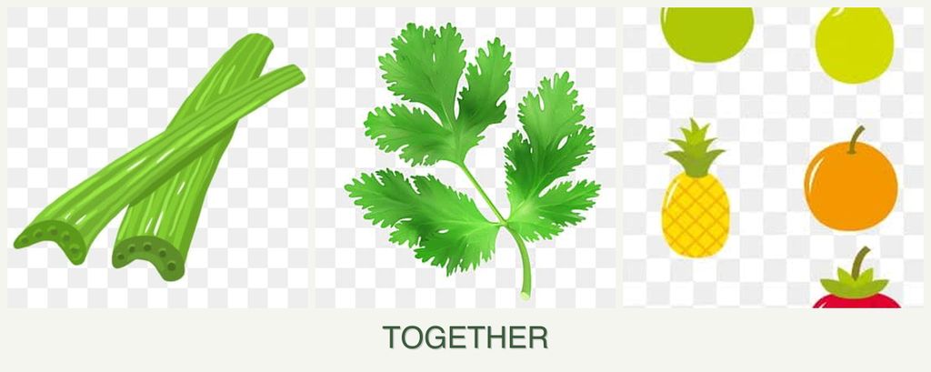 Can you plant celery, parsley and pears together?