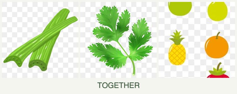 Can you plant celery, parsley and pears together?