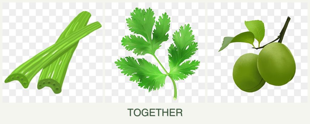 Can you plant celery, parsley and plums together?