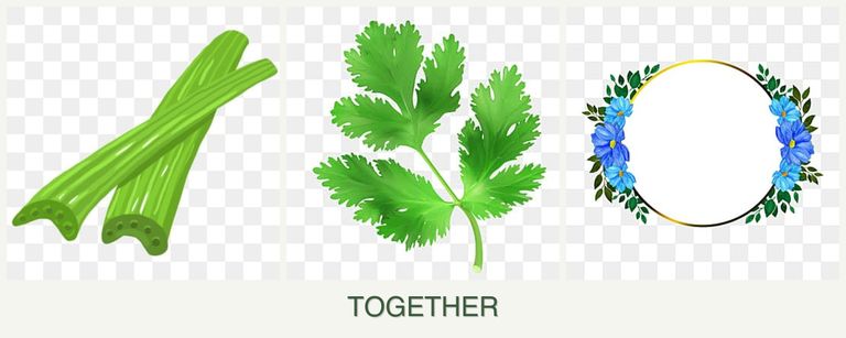 Can you plant celery, parsley and zinnias together?
