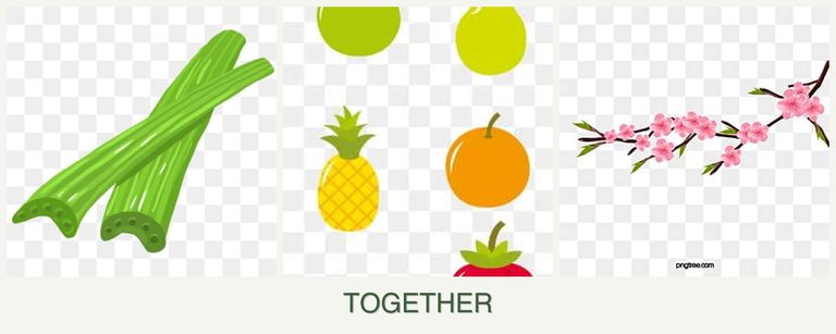 Can you plant celery, pears and peaches together?