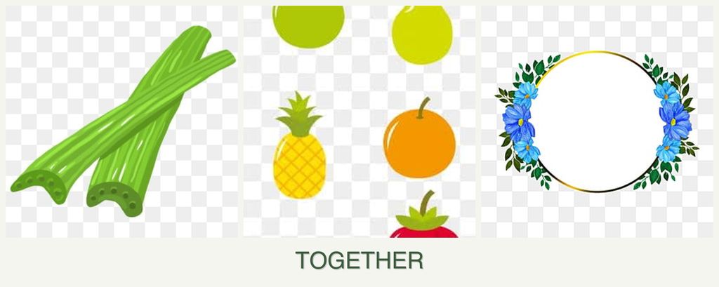Can you plant celery, pears and zinnias together?