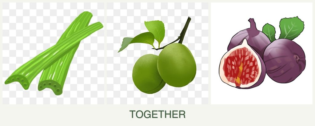 Can you plant celery, plums and figs together?