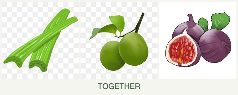Can you plant celery, plums and figs together?