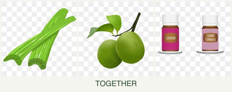 Can you plant celery, plums and geraniums together?