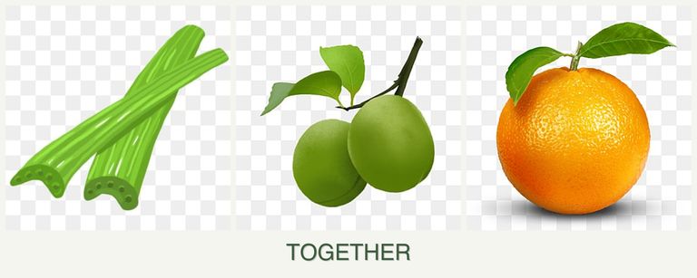 Can you plant celery, plums and oranges together?