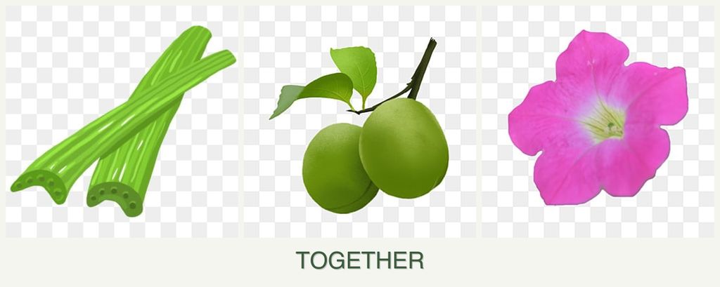 Can you plant celery, plums and petunias together?