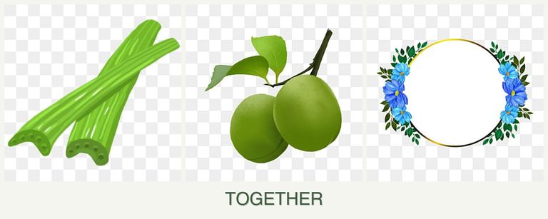 Can you plant celery, plums and zinnias together?
