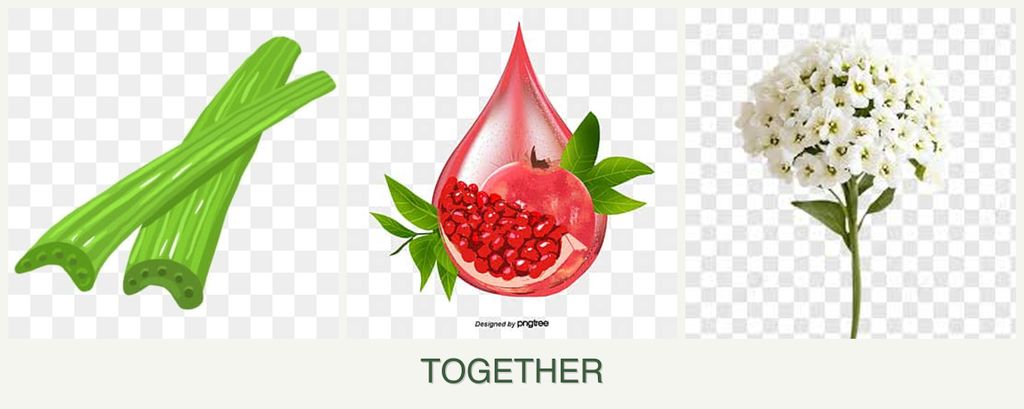 Can you plant celery, pomegranates and alyssum together?