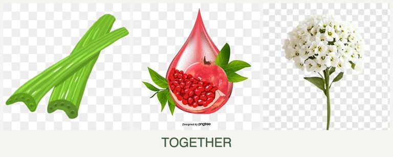 Can you plant celery, pomegranates and alyssum together?
