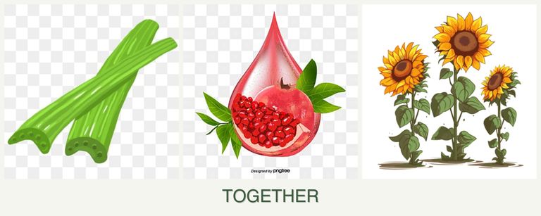 Can you plant celery, pomegranates and sunflowers together?