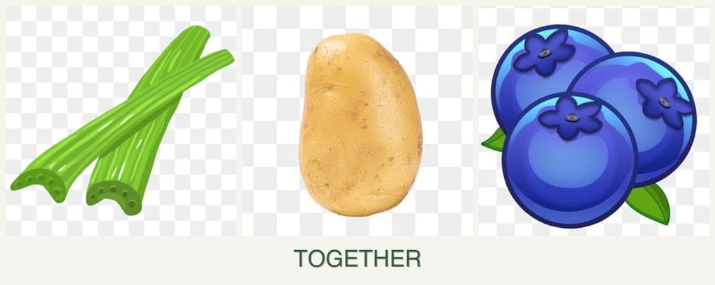 Can you plant celery, potatoes and blueberries together?