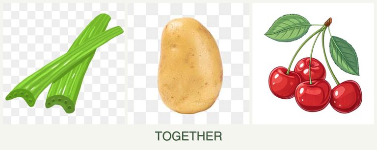Can you plant celery, potatoes and cherries together?