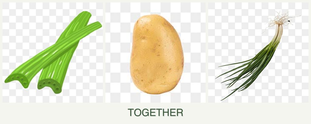 Can you plant celery, potatoes and chives together?