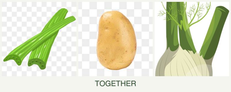 Can you plant celery, potatoes and fennel together?