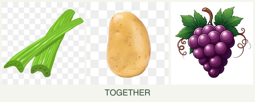 Can you plant celery, potatoes and grapes together?