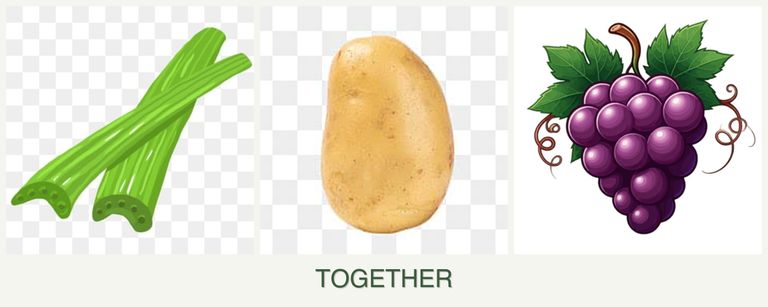 Can you plant celery, potatoes and grapes together?