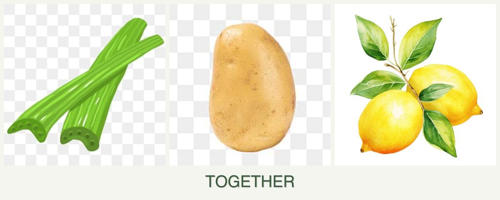 Can you plant celery, potatoes and lemons together?