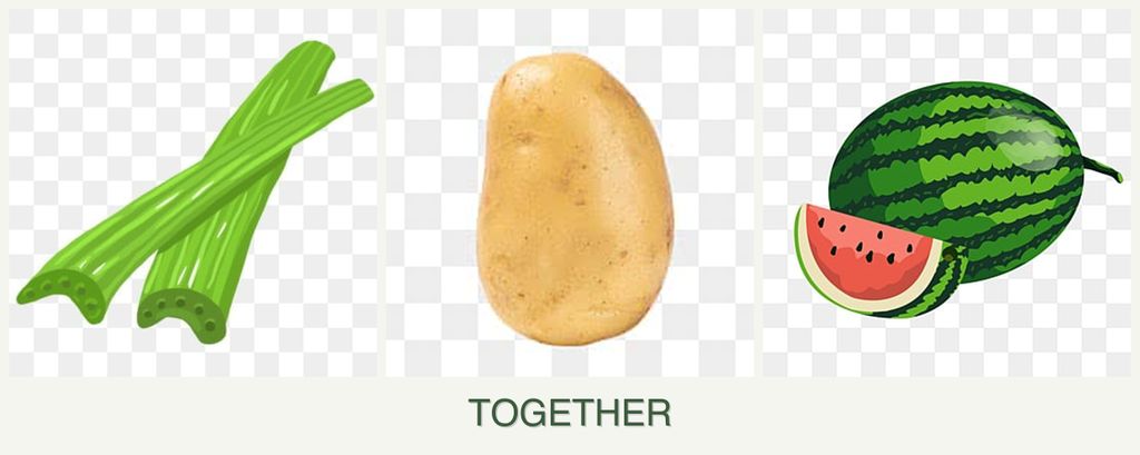 Can you plant celery, potatoes and melons together?